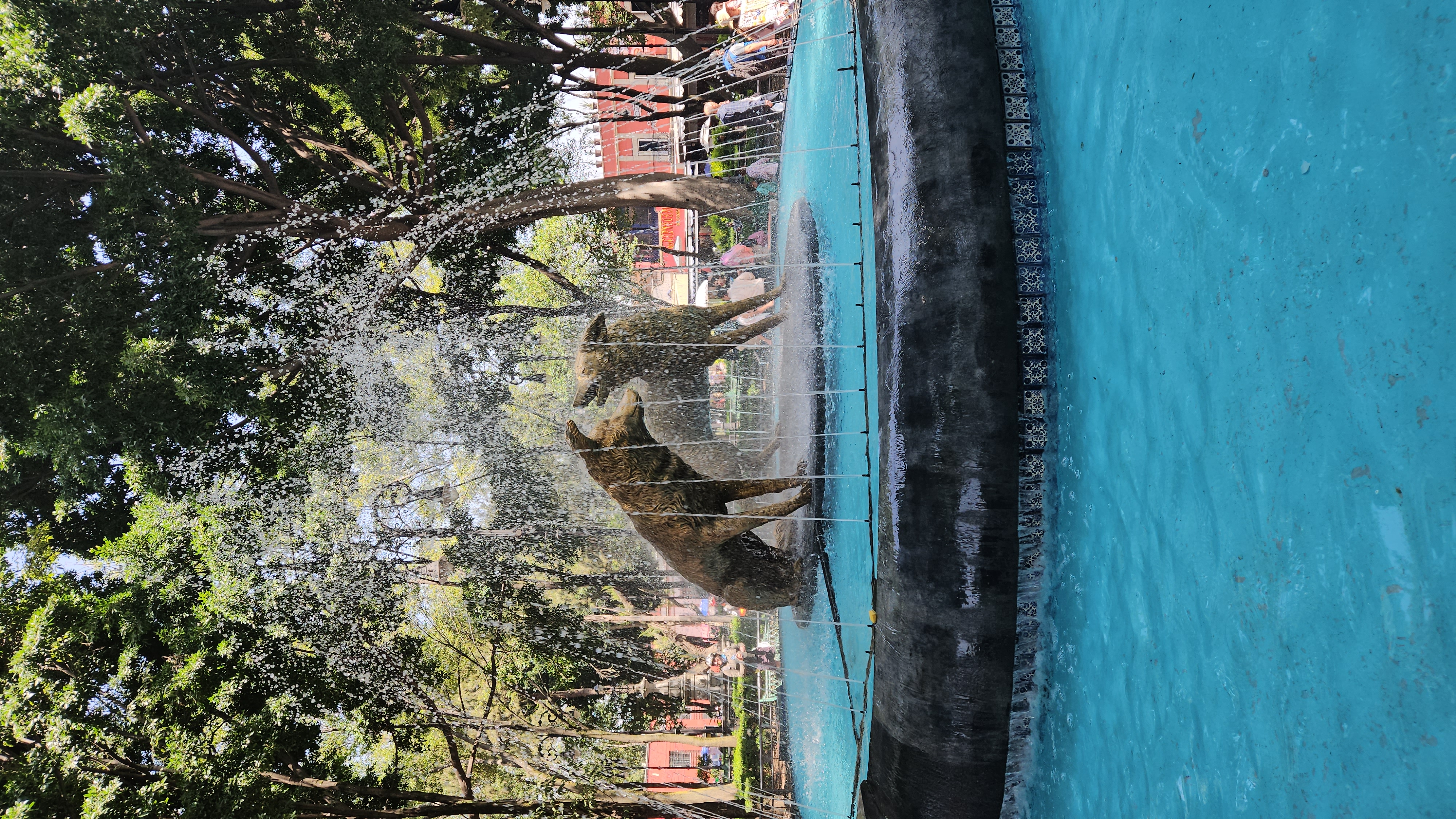 The coyote fountain, framed by trees.